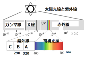 紫外線とは