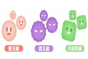 善玉・悪玉・日和見菌